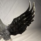 Bild 6 von 12