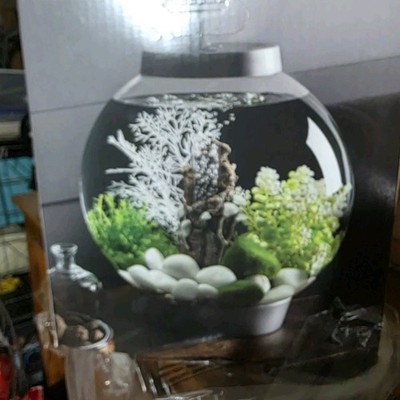 biOrb Classic 15 Round Freshwater Aquarium Tank Kit Complete Setup