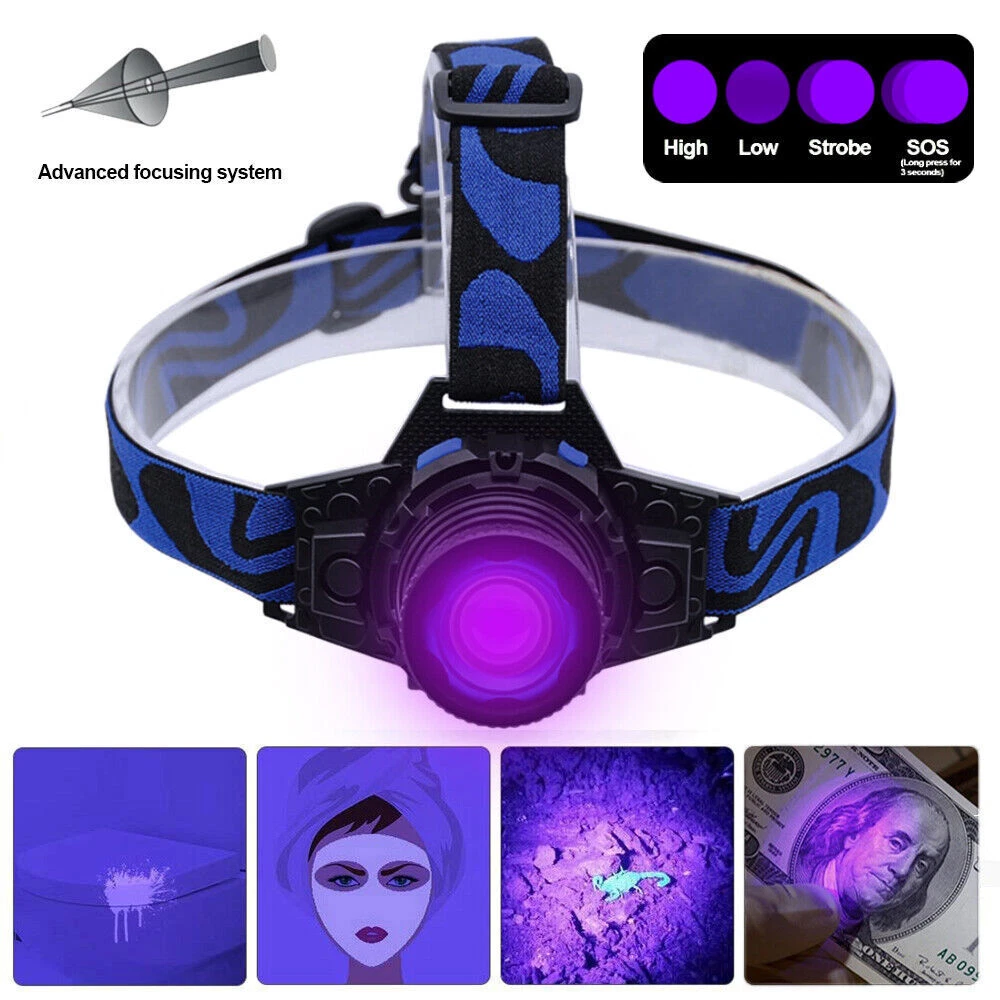 Uv head torch deals