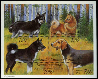 FINNISH SPITZ HOUND KARELIAN BEAR DOG LAPSK VALLHUND FINLAND 1989