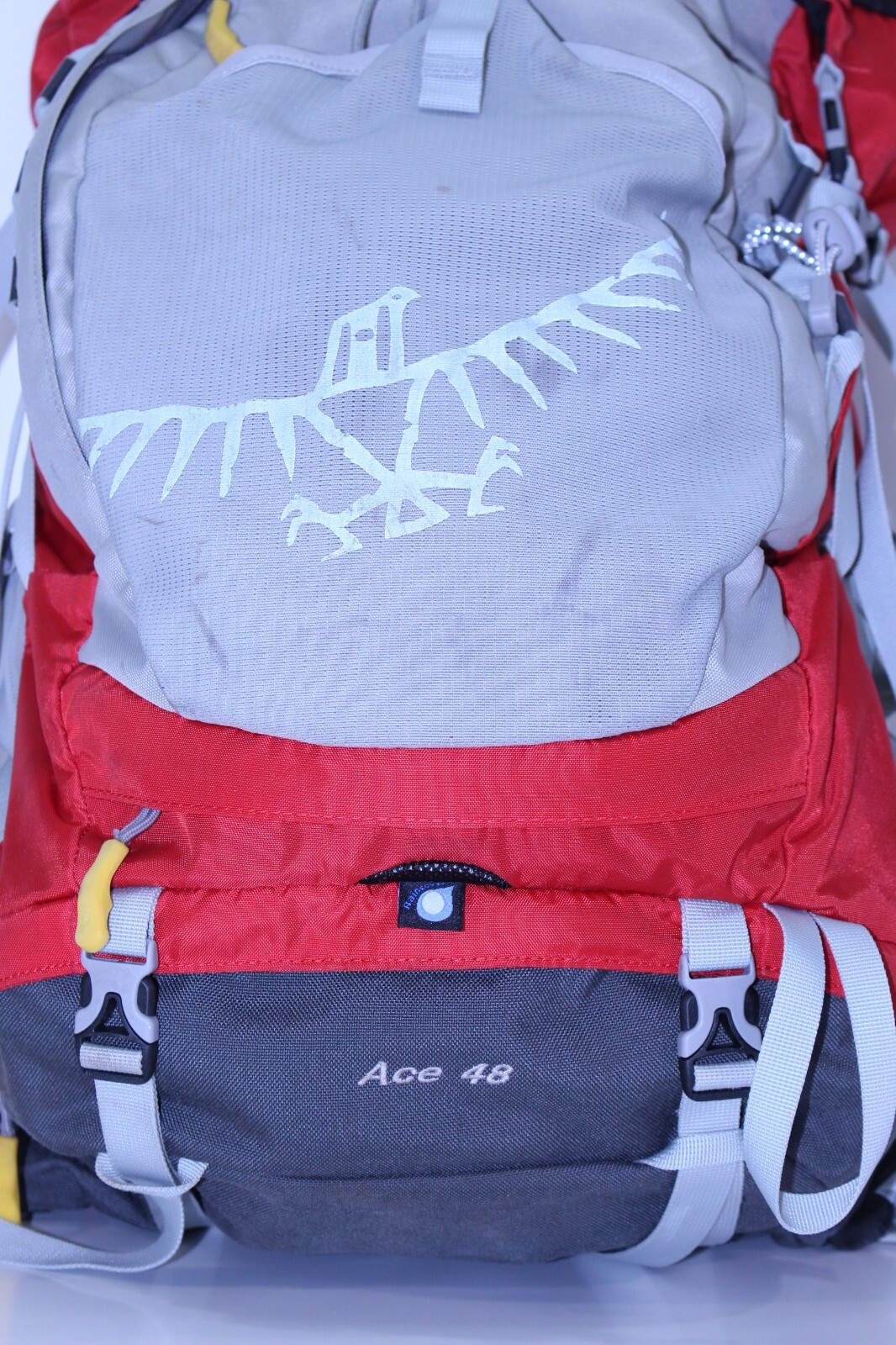 Bild 8 von 23