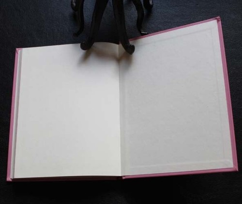 Kylie Jean : Spelling Queen ~ Marci Peschke ~ Ex Library ~ 2012 ~ - Picture 6 of 6