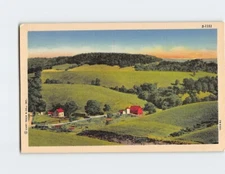 Postcard Field Trees Landscape Scenery