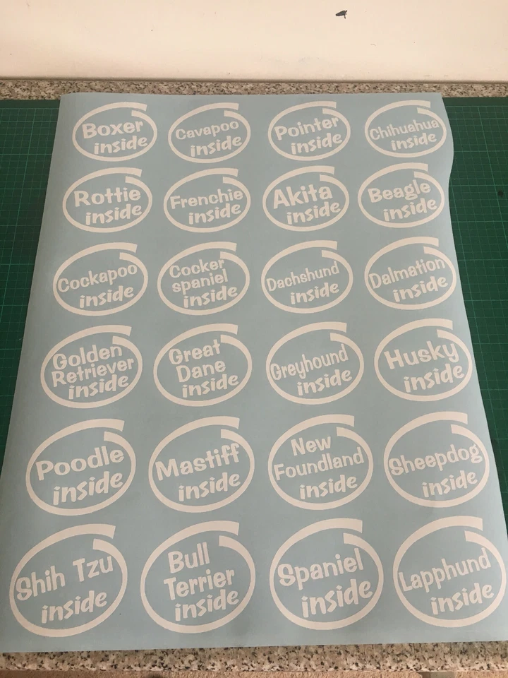 CHIHUAHUA INSIDE DOG ON BOARD CAR WINDOW STICKER DECAL IN WHITE ALL COLOURS MADE - Image 4 of 4