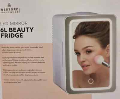 6 l Mini Kühlschrank Persönliches Beauty Make-up Hautpflege Kühlschrank mit LED-Licht Spiegel UK