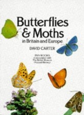 Butterflies and moths in Britain and Europe (Paperback) - FREE Shipping