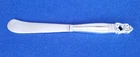 Intl Silver Royal Danish Sterling 925 Hollow Handle Paddle Butter Spreader Solid