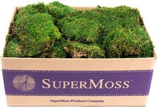 SuperMoss 21538 Mood Moss Preserved, Fresh Green, 3 Pounds