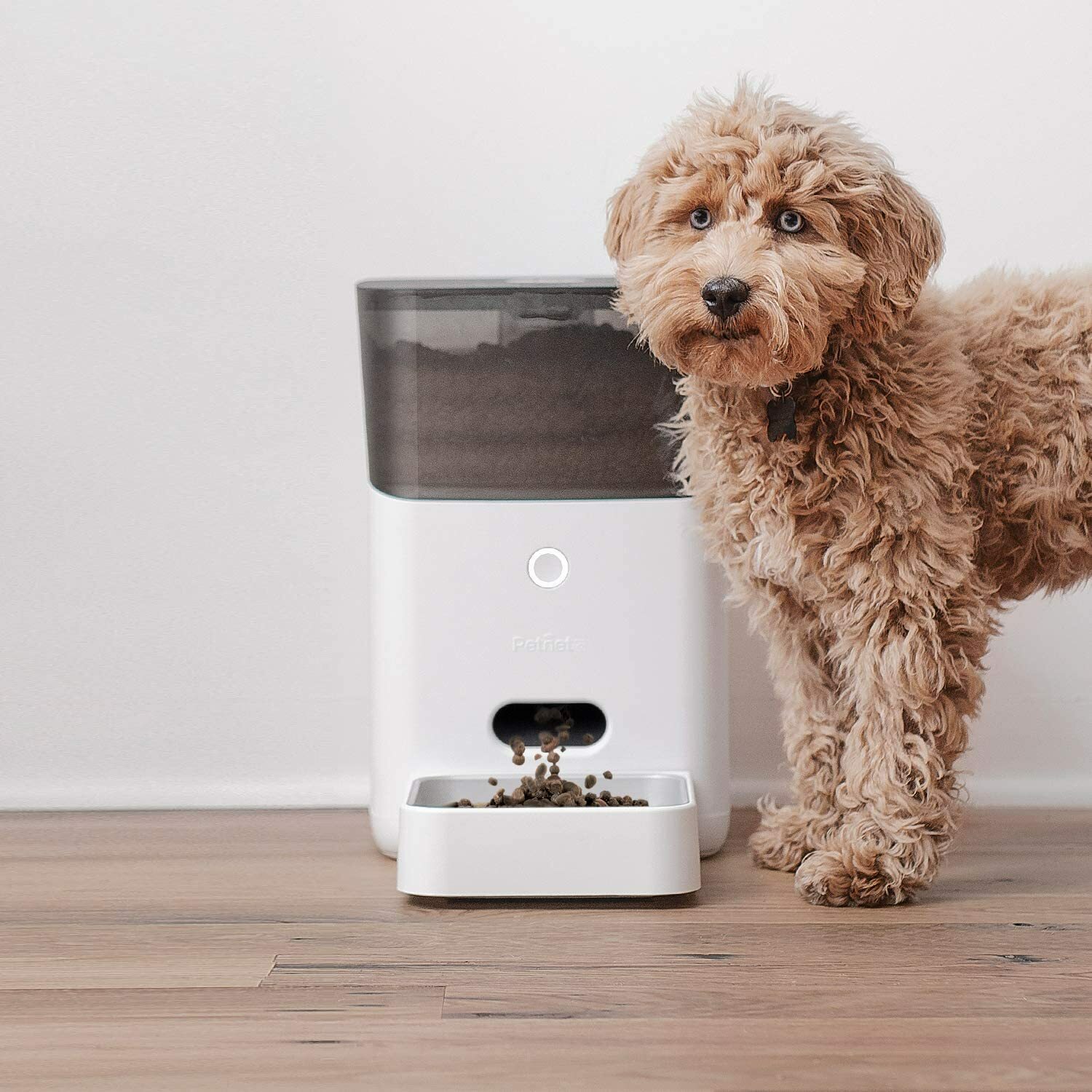 petnet smartfeeder automatic pet feeder