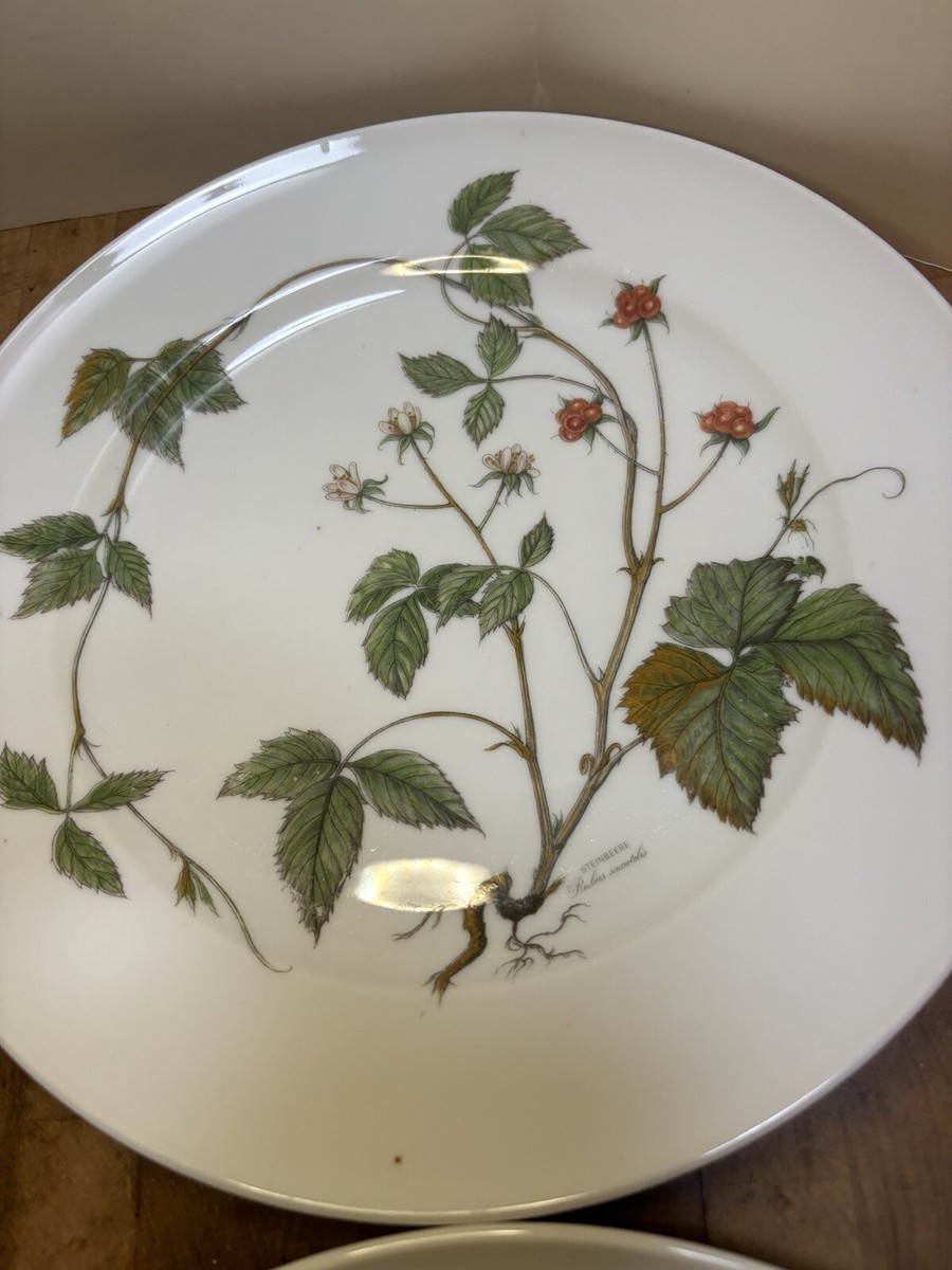 Seltmann Weiden Waldbeere “Wild Berries” Plate Bavaria West