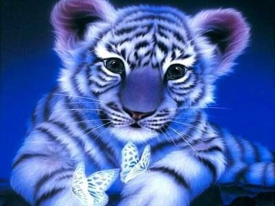Diamond Painting BabyTiger 40x30 cm TinkerBox  - Neu