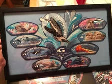 BOY SCOUT ATLANTA 2017 JAMBOREE 9-PATCH Georgia AQUARIUM FISH JSP Set Framed