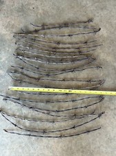 VINTAGE BARB WIRE PIECES RUSTIC BARBED WIRE FOR CRAFTS HOBBIES ART DECORATIONS