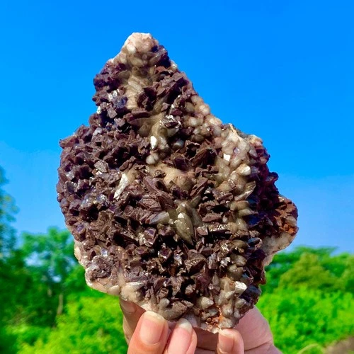 1.44LB Natural Chocolate Red Crystal Gem Quartz Points Cluster Mineral Specimens