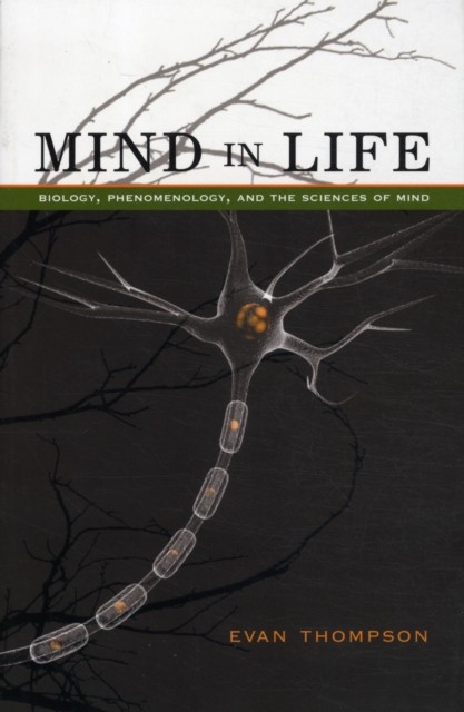 Mind in Life – Biology, Phenomenology, and the Sciences of Mind by Evan Thompson - Image 3