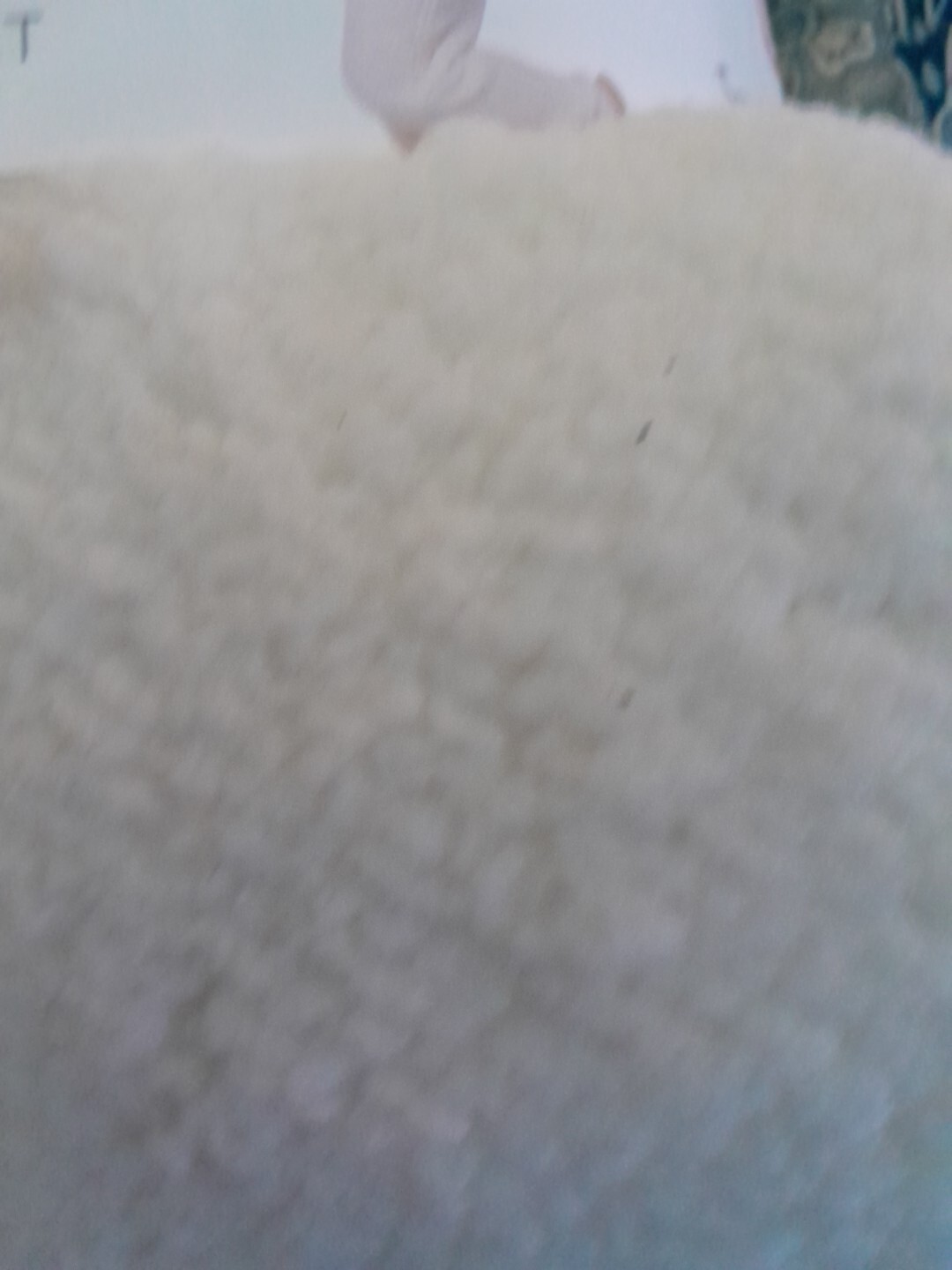 Bild 8 von 8