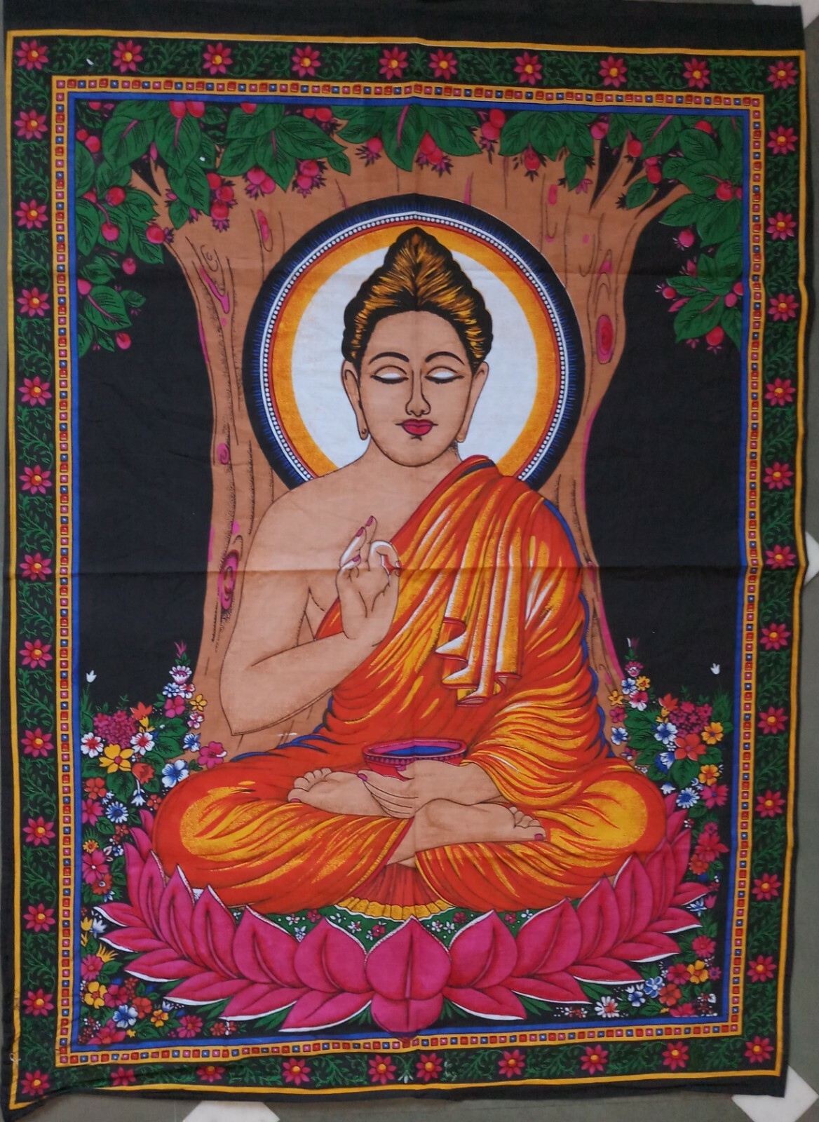 Picture 4 of 27