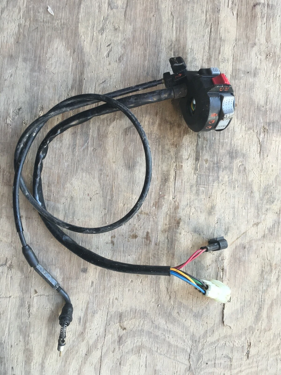 Raptor 660 Choke Cable