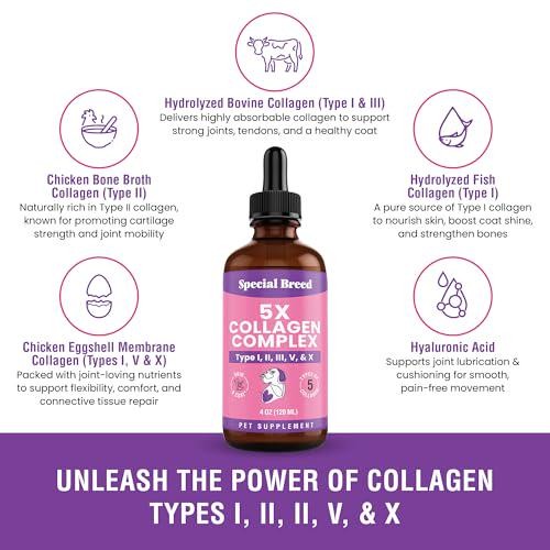 Premium Collagen for Dogs - Liquid Support for Joints, Skin, Coat, Bone, Immune - Bild 3 von 5