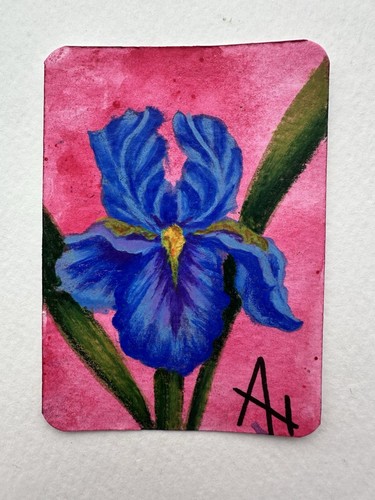 ACEO original Iris flower miniature painting amber honey | eBay