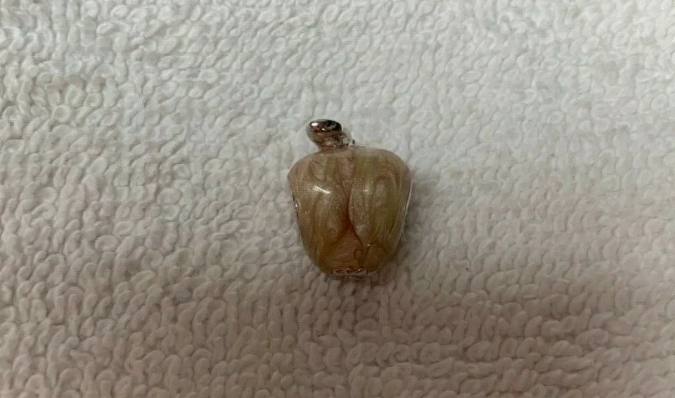 Lauren G Adams Rodio y Esmalte Manzana Dije Cuentas, Se Adapta a Todas las Marcas ~ Foto 2 de 3