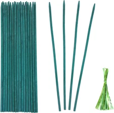 Green Bamboo Plant Stakes, Plant Sticks Support for Indoor and Outdoor Plants, G