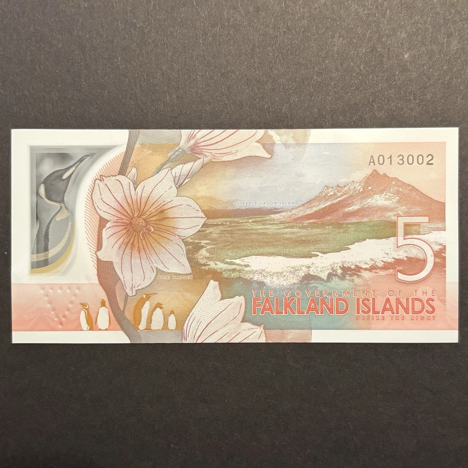 2025 Uncirculated Falkland Islands Polymer Five Pound Note £5 - Bild 2 von 2