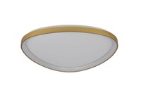 Moderne Flache Deckenleuchte Led 1X70W IP20 3000|4000|6000 Weiß Gold GebüRstet