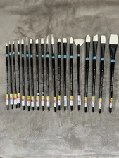 Princeton Aspen Long Handled Assorted Brush Bundle Of 19