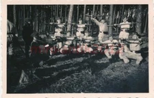 Photo, Sdt. the 27th Inf.Div., terrain exercise in the Buchenbühler Wald 3, 1...