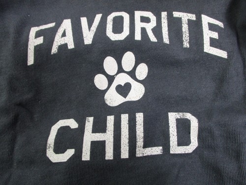 Grayson Pup Dog Grey Lightweight T-Shirt "Favorite Child" Medium - Picture 2 of 11