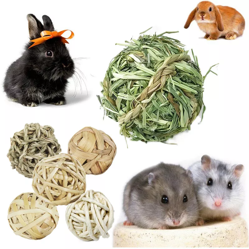 Pet Chew Toys Hamster Rabbit Guinea Pig