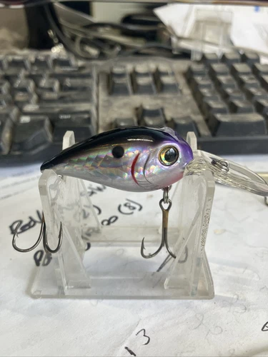 Crankbait Fishing 3 Inches Long