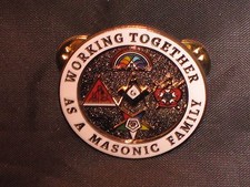 Masonic Family Lapel Tac Pin Demolay Rainbow Girls OES Job's Daughters NEW!