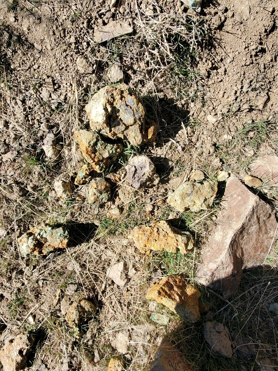 Steiner Mine near Lovelock Nevada Silver Gold Mining Claim with Big