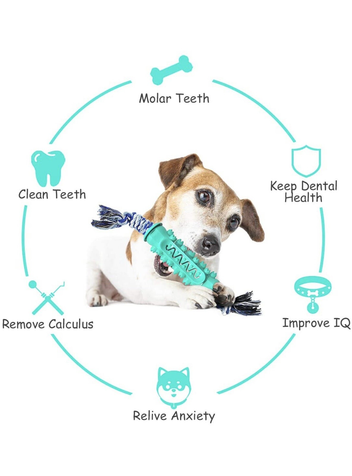 NEW Edible Toothbrush Dog Toy; Serrated Molar Stick/ Fill w/Treats Or