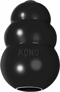 kong flyer dog toy
