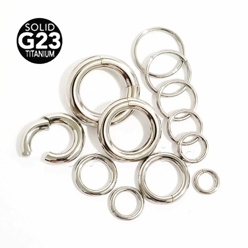 PAIR G23 Titanium Hinged Segment Ring Earring Labret Nose Ring Septum 20g-8g - Picture 2 of 3