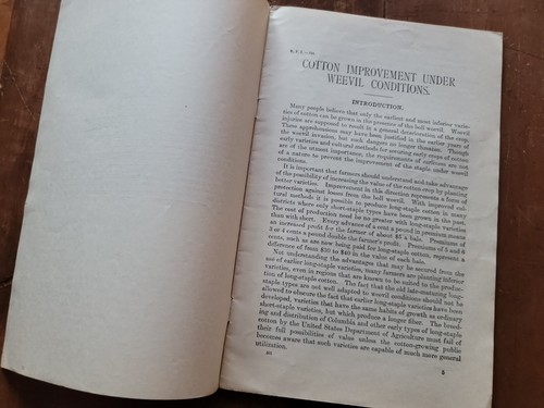 US Department Agriculture 1915 Farmers Bulletin #501 Cotton Improvement Weevil - Imagen 4 de 4