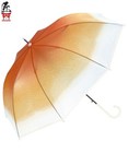 Bild 31 von 36