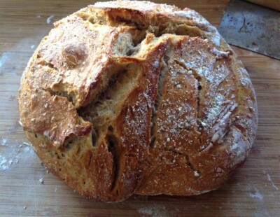 SAN FRANCISCO SOURDOUGH STARTER YEAST DEHYDRATED ORGANIC - 15 Gram Bag