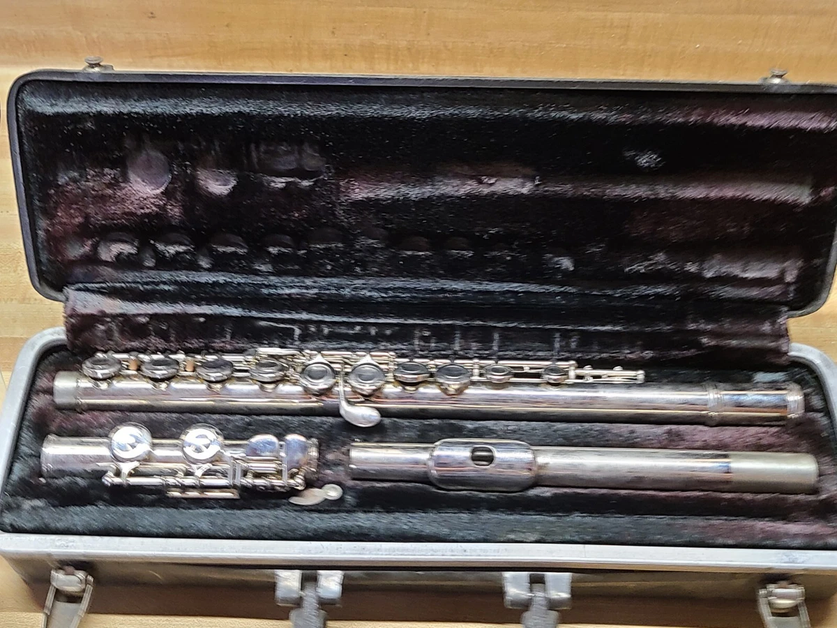 Mendini by 2024 cecilio flute