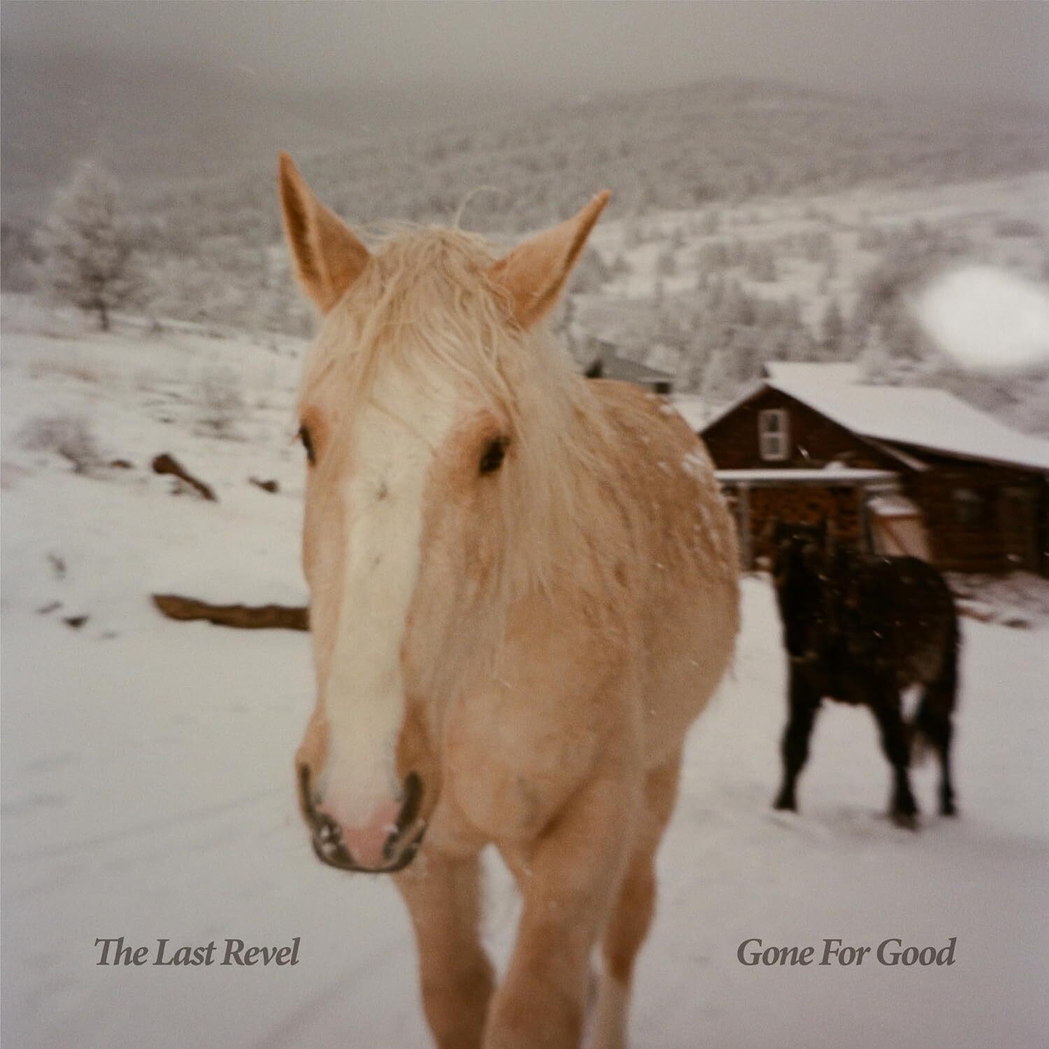 The Last Revel Gone for Good (CD) Album
