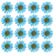 48Pcs Dried Pressed Flower Natural Dried Daisy Flower Sapphire Blue