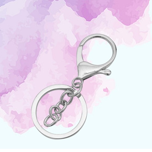 10 PEZZI Portachiavi Fibbia Aragosta Piccolo Metallo Artiglio Fermagli Porta Clip - Foto 3 di 12