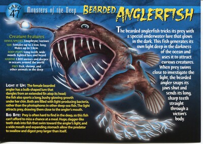 Weird N  Wild Creatures Monsters of the Deep Karte 47 # Bärtiger Seeteufel # LC4