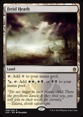 Fetid Heath - Light Play MTG Masters 25