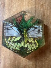 Vintage Butterfly Hexagon Paper Weight