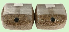 Two 3 lb sterilized rye berry grain mushroom grow bags with injection port
