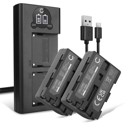 2x Kamera Akku + Dual Ladegerät - Ersatz für Sony DCR-PC100 Kameraakku